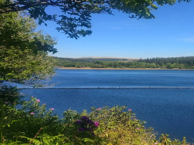 Burrator Reservoir